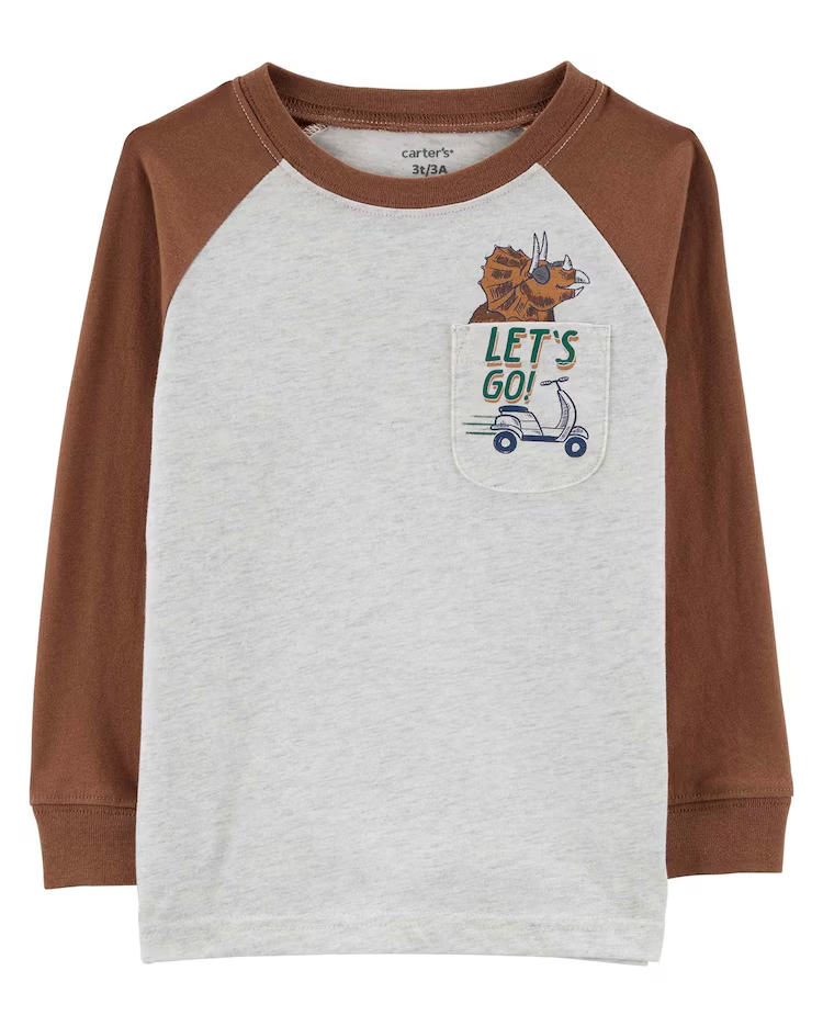 Blusa infantil manga longa dinossauro cinza | Carter's